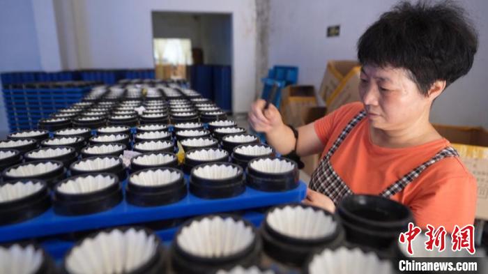 浙江江山羽毛球产业升级带动销售增长